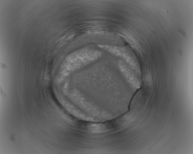 X0000090620277200708071231