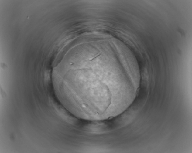 X0000090620278200708071231