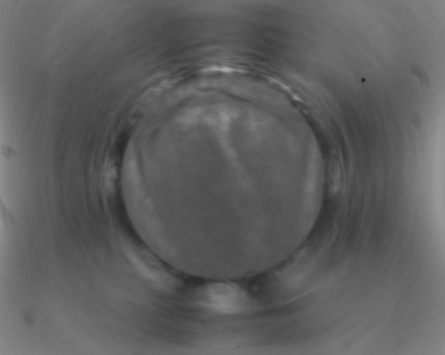 X0000090620279200708071231