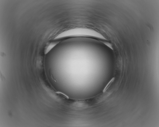 X0000090620280200708071231