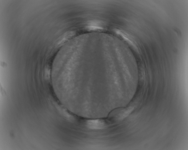 X0000090620281200708071231