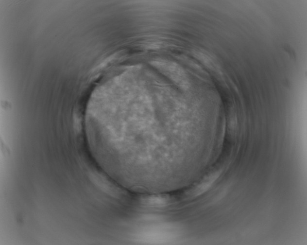 X0000090620282200708071231