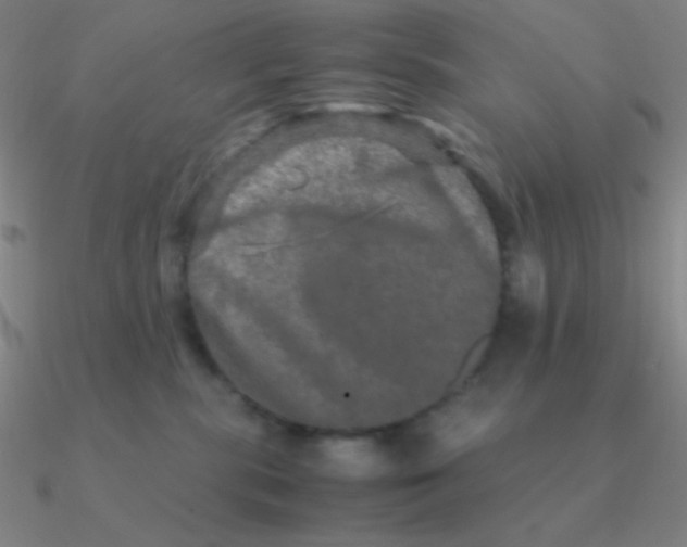 X0000090620283200708071231