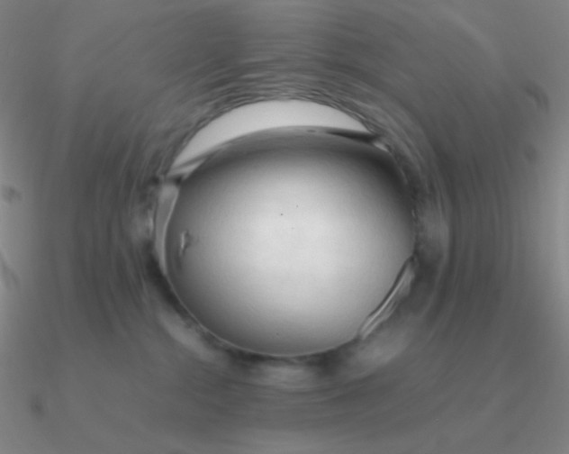 X0000090620284200708071231