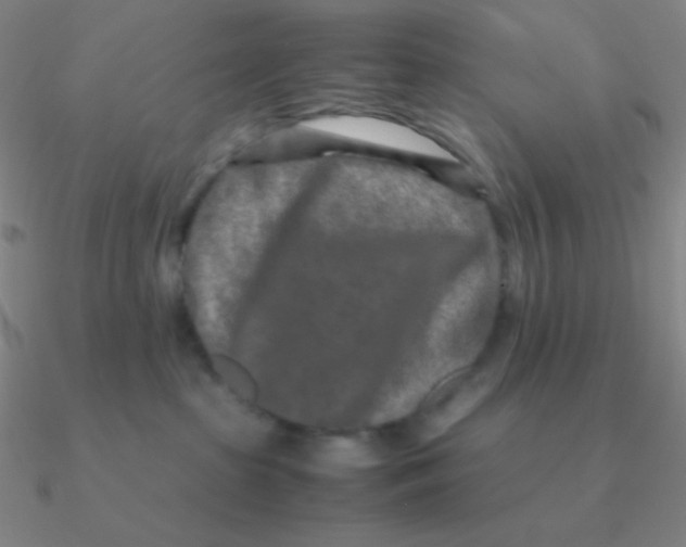 X0000090620285200708071231