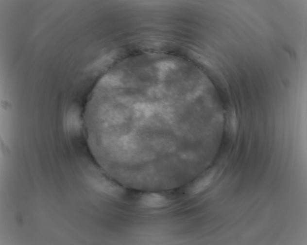 X0000090620287200708071231