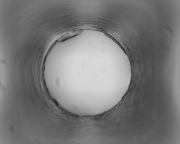 X0000090620289200708071231