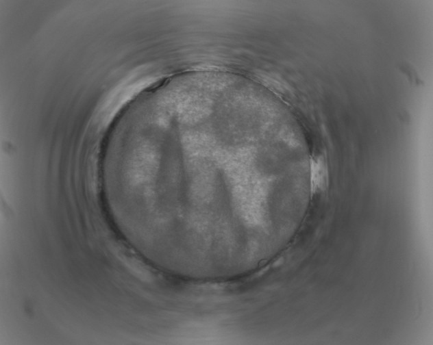 X0000090620291200708071231