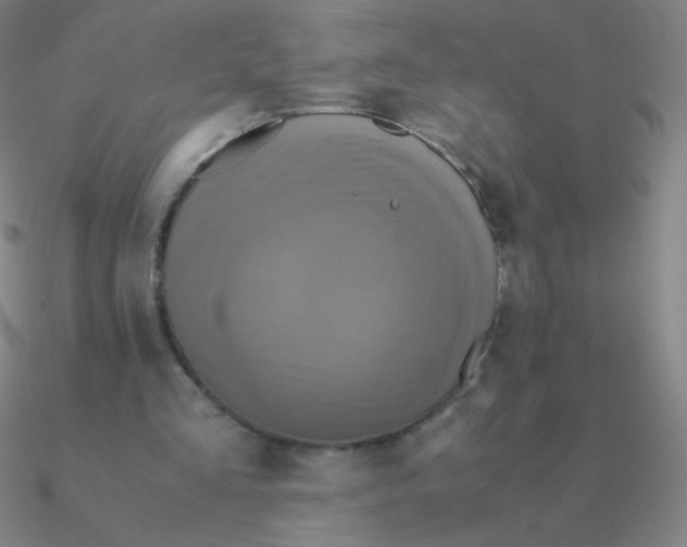 X0000090620293200708071230