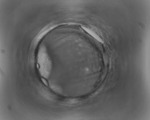 X0000090620295200708071230