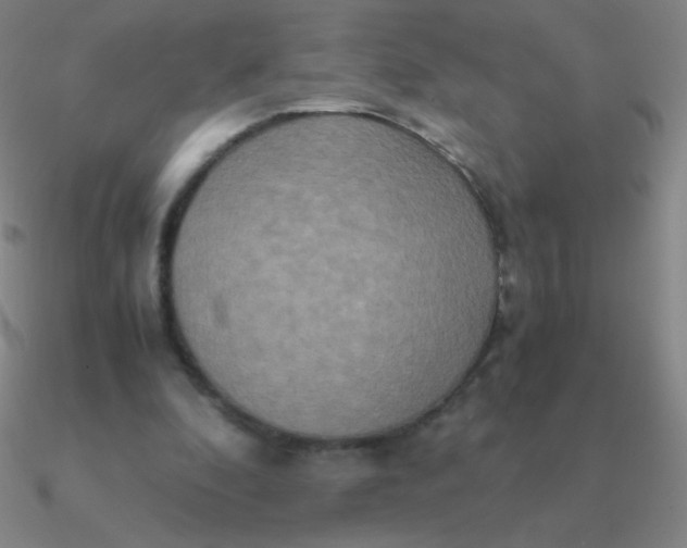 X0000090620296200708071230