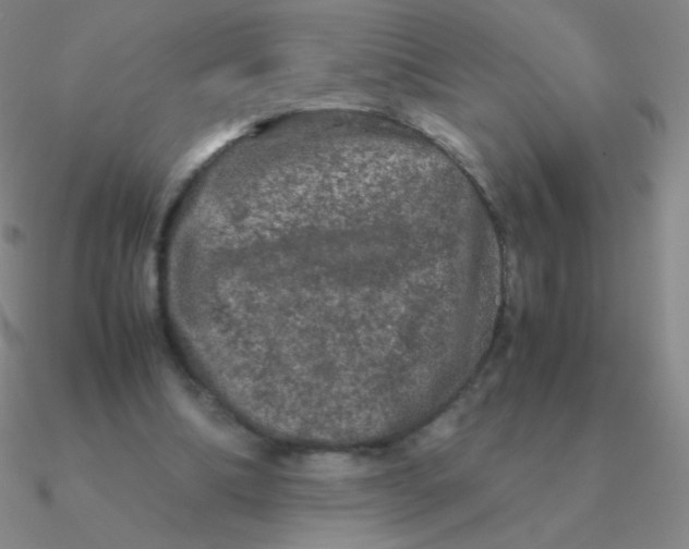 X0000090620298200708071230