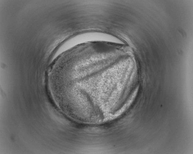 X0000090620299200708071230