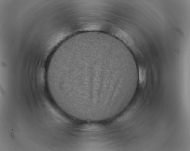 X0000090620300200708071230