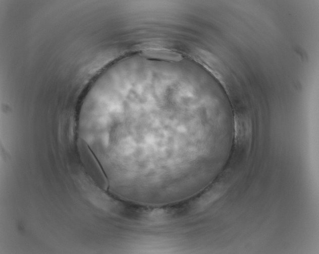 X0000090620301200708071230