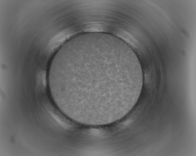 X0000090620302200708071230