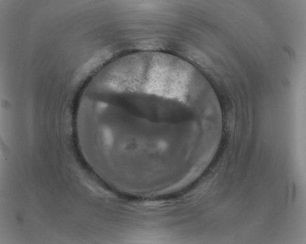 X0000090620303200708071230