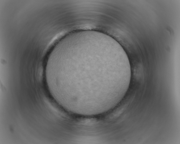 X0000090620304200708071230