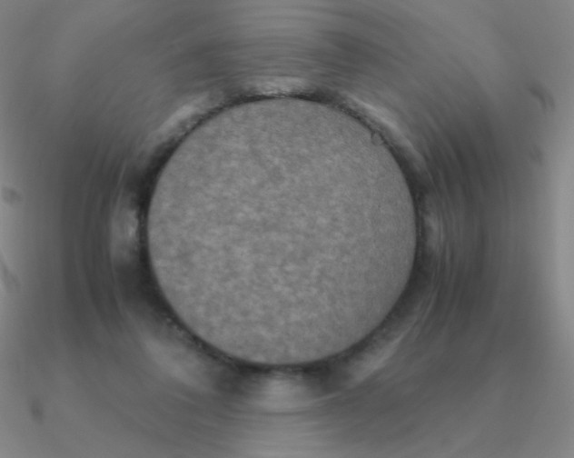 X0000090620308200708071230