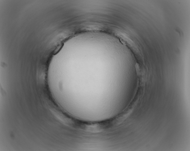 X0000090620309200708071230