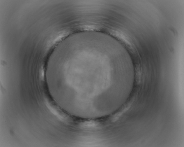 X0000090620310200708071230