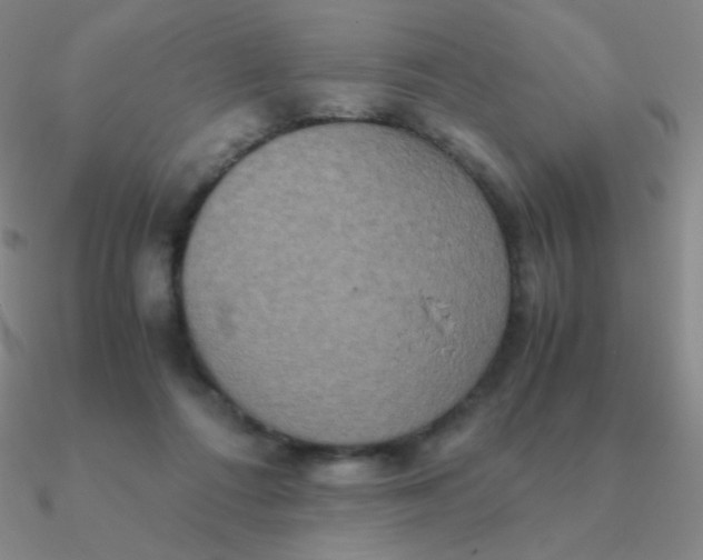 X0000090620312200708071230