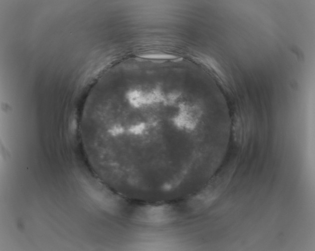 X0000090620314200708071230