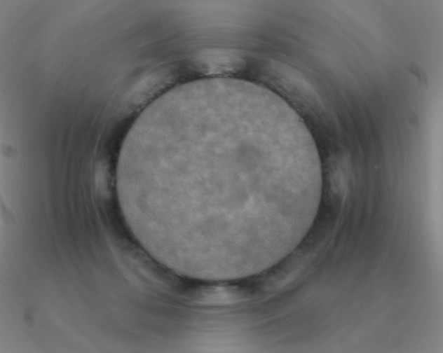 X0000090620316200708071230