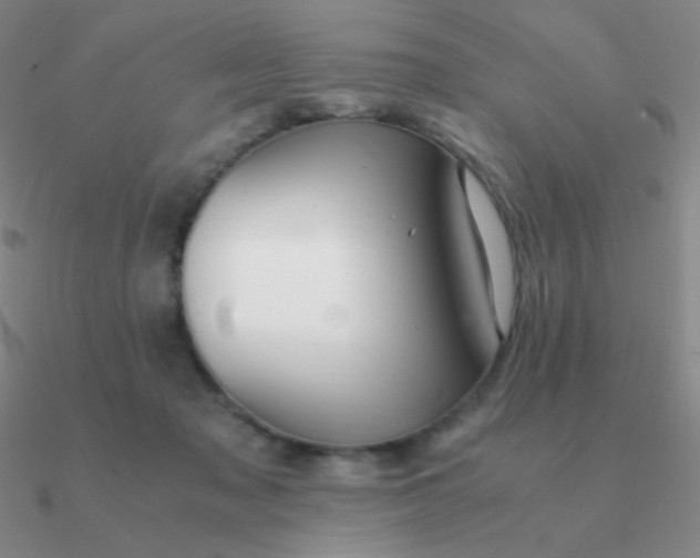 X0000090620317200708071230