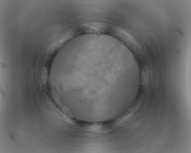 X0000090620318200708071230