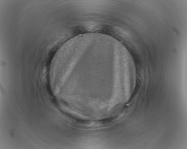 X0000090620319200708071230