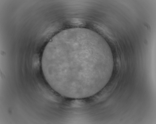 X0000090620320200708071230