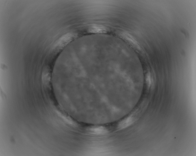 X0000090620322200708071230