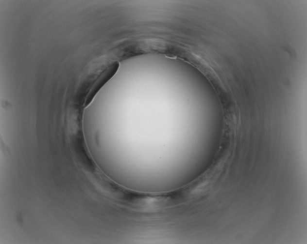 X0000090620323200708071230