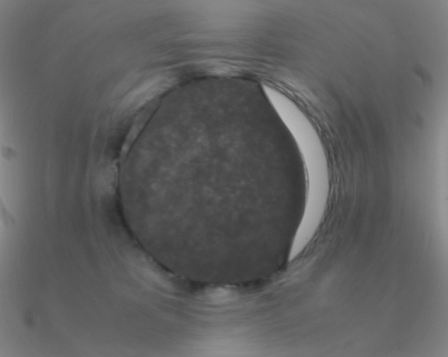 X0000090620325200708071230