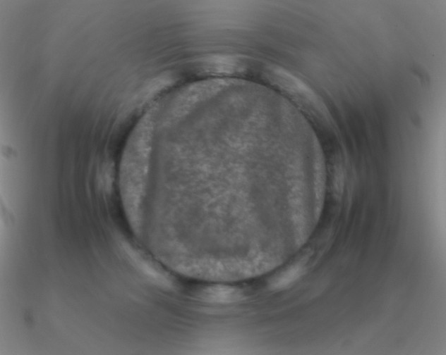 X0000090620326200708071230