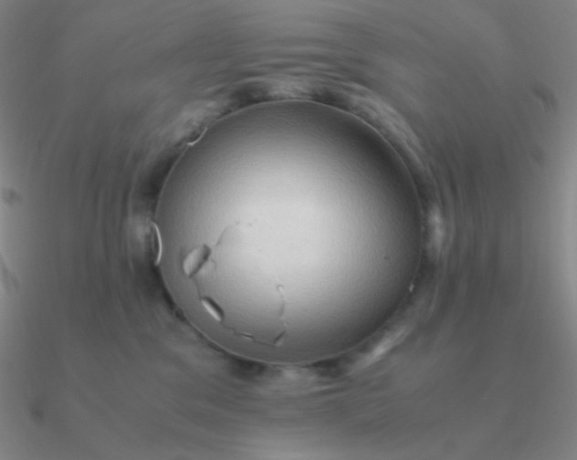 X0000090620329200708071230