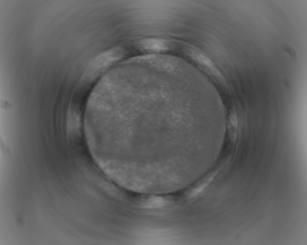 X0000090620330200708071230