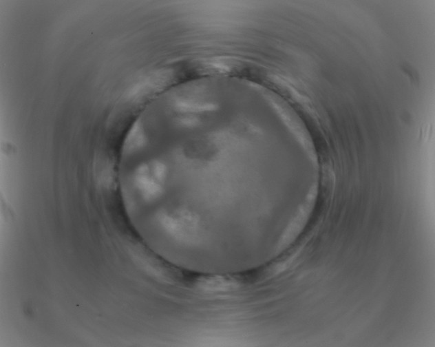 X0000090620331200708071230