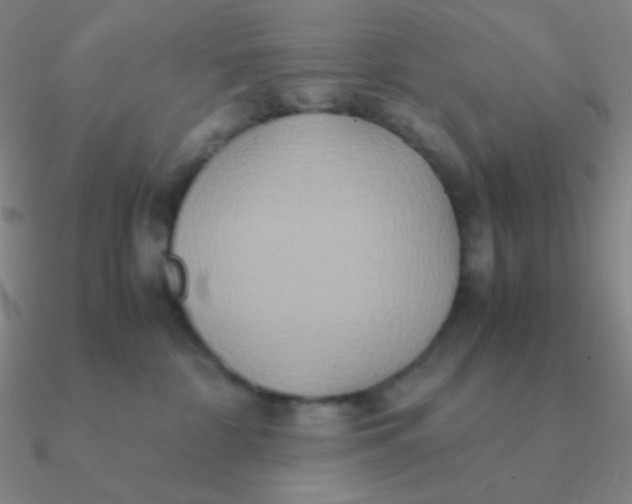 X0000090620332200708071230