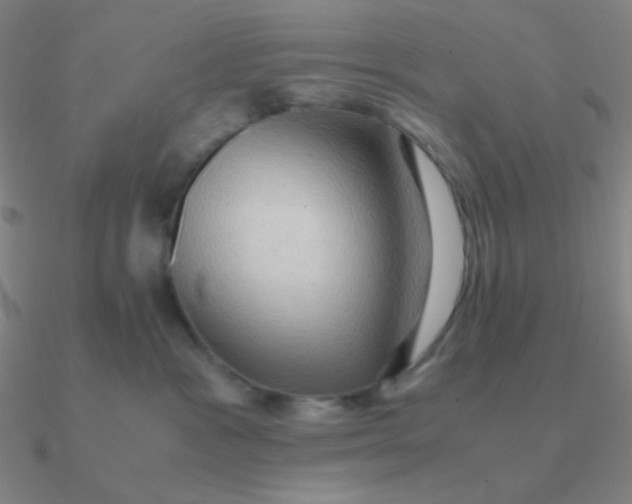 X0000090620333200708071230