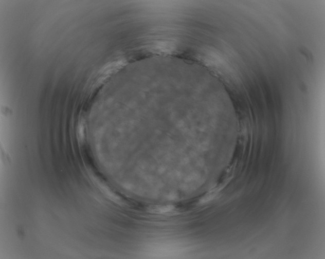 X0000090620334200708071230