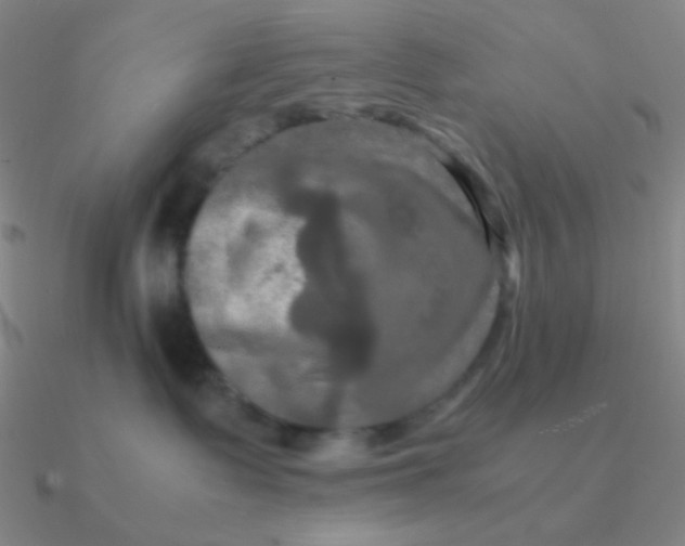 X0000090620335200708071230