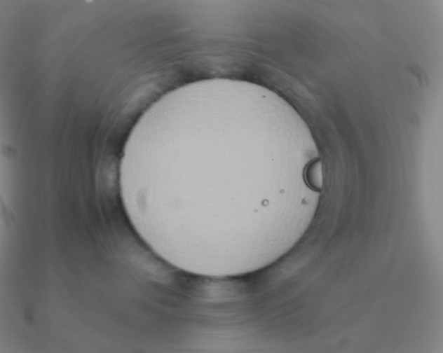 X0000090620336200708071230