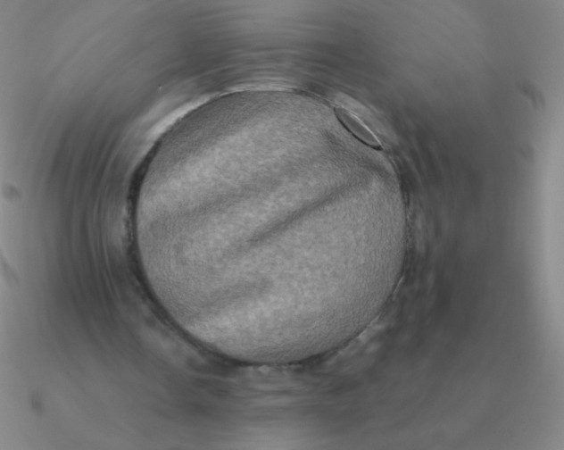 X0000090620338200708071229