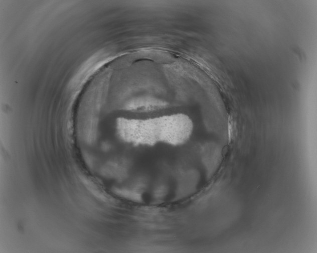 X0000090620339200708071229