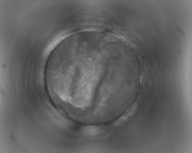 X0000090620341200708071229