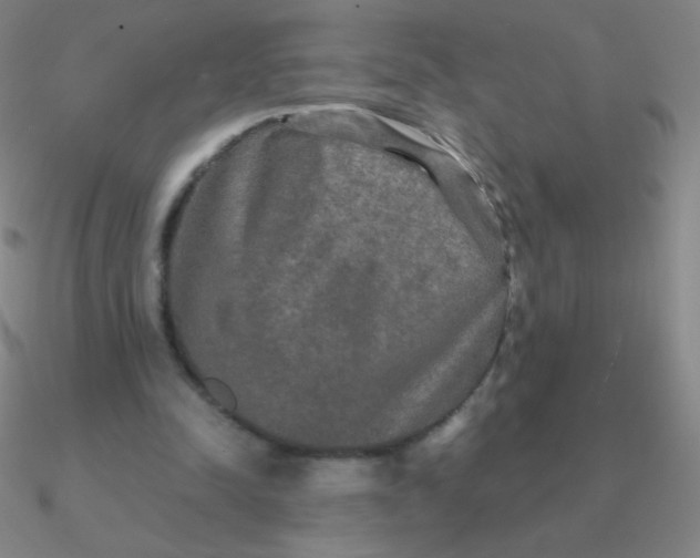 X0000090620342200708071229