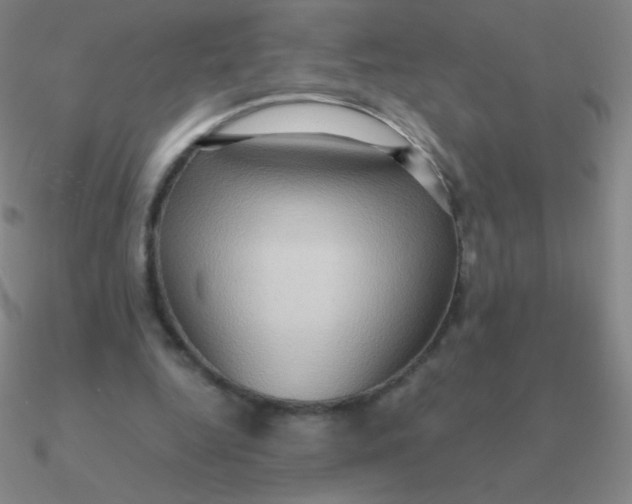 X0000090620344200708071229