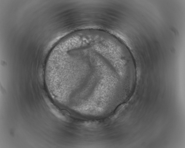 X0000090620345200708071229